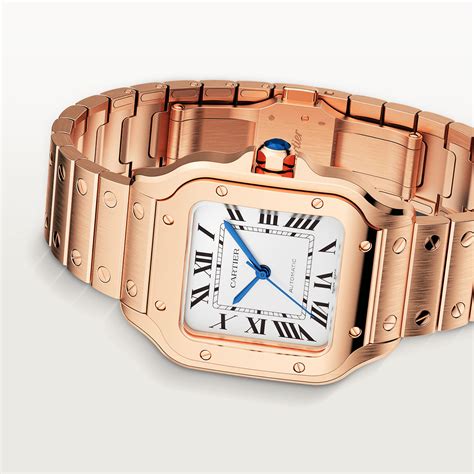 cartier timepieces|which cartier watch to buy.